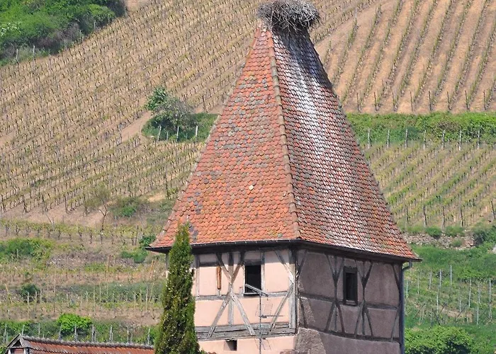 Gite Du Vignoble