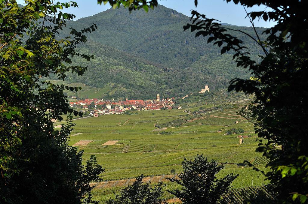 Vakantiehuis Du Vignoble Ammerschwihr