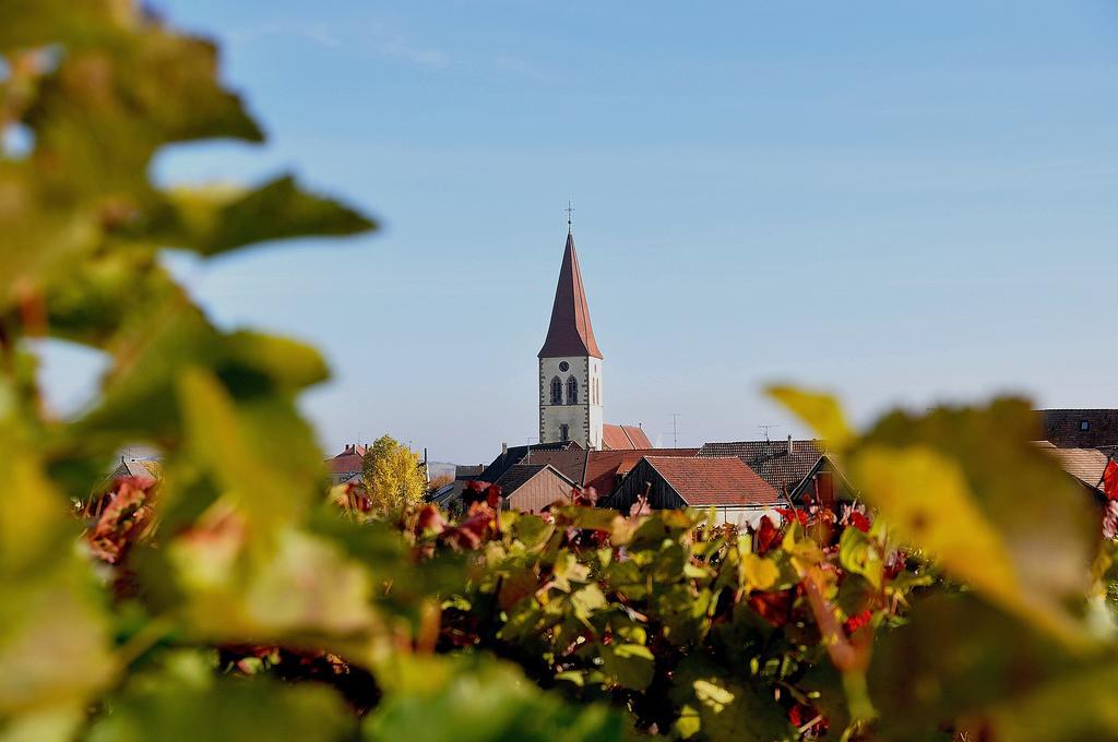 Du Vignoble Vakantiehuis
